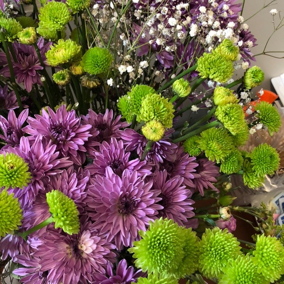 Meet your Posher, Jacqueline - Picture 1 of 1